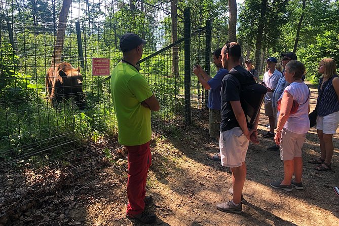 Bear Sanctuary, Bran (Dracula) Castle, Peles Castle From Brasov - Touring the Royal Peles Castle