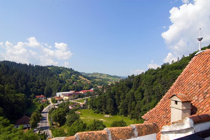 Bear Sanctuary, Bran (Dracula) Castle, Peles Castle From Brasov - Included Amenities and Practical Details