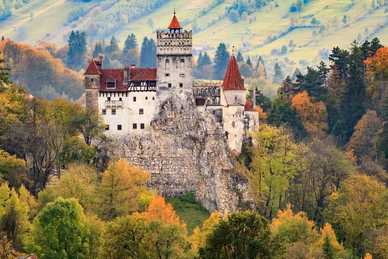 Bear Sanctuary, Dracula's Castle and Brasov | Private Tour - Key Points