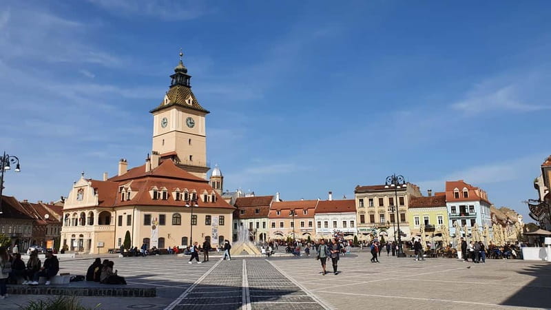 Bear Sanctuary, Dracula's Castle and Brasov | Private Tour - The Guide and Transportation: Personalized Service