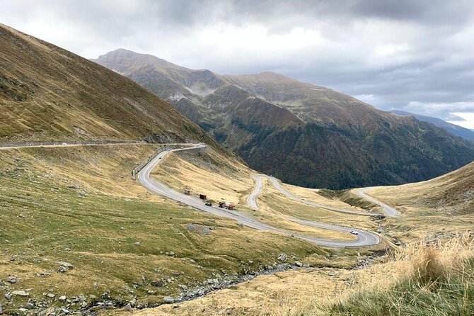 Bear Sanctuary & Rasnov Fortress - Private day tour from Bucharest - Key Points