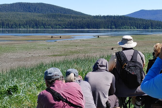 Bear Viewing at Waterfall Creek - Guided Experience and Equipment Provided