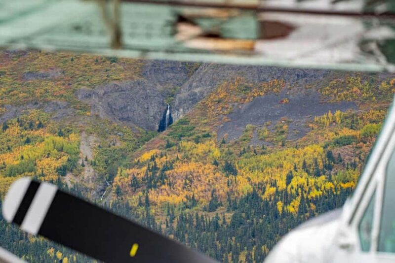 Bear Viewing Tour from Homer, Alaska - Discover the Ultimate Bear Viewing Tour from Homer, Alaska