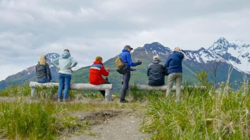 Bear Viewing Tour from Homer, Alaska - The Scenic Flight Over Cook Inlet and Alaskas Wilderness