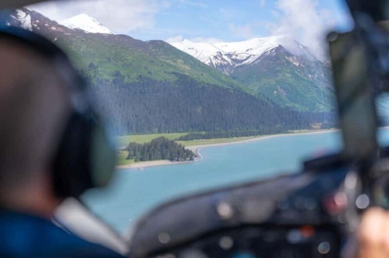 Bear Viewing Tour from Homer, Alaska - Practical Details for Participants