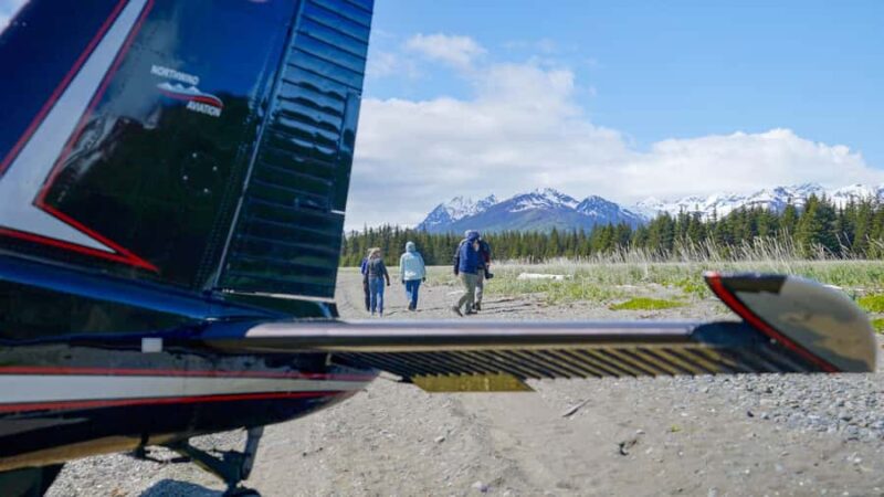 Bear Viewing Tour from Homer, Alaska - Potential Limitations and Considerations