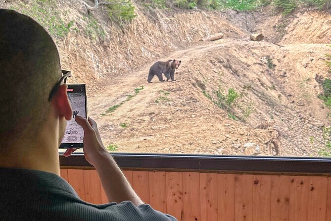 Bear Watching In Brasov: Observe Wild Bears From A Hideout (100%) - Value and customer satisfaction