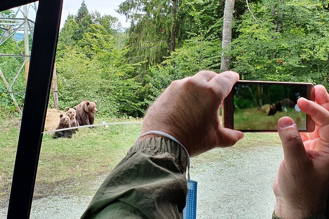 Bears and Dracula Private Full-Day Tour from Bucharest - Convenient Pickup and Private Transportation