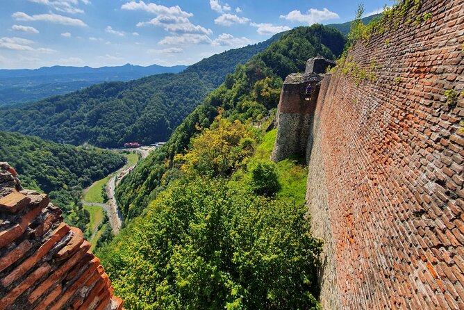 Bears and Dracula Private Full-Day Tour from Bucharest - Spot Wild Brown Bears in Their Natural Habitat