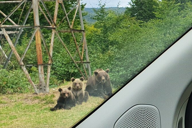 Bears and Dracula Private Full-Day Tour from Bucharest - Flexibility and Customization Throughout the Day