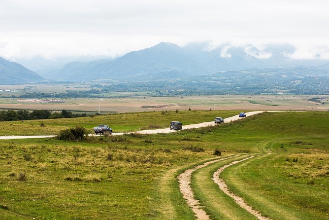 Bears Libearty Sanctuary and Dracula Bran Castle Day Trip - Visiting Bran Castle and Its Mythical Connection