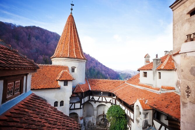 Bears Sanctuary, Dracula Castle and Poiana Brasov-Private day tour from Brasov - Starting Point: Convenient Hotel Pickup and Private Transport