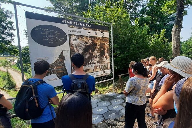 Bears Sanctuary, Dracula Castle and Poiana Brasov-Private day tour from Brasov - Cost Breakdown and Additional Expenses