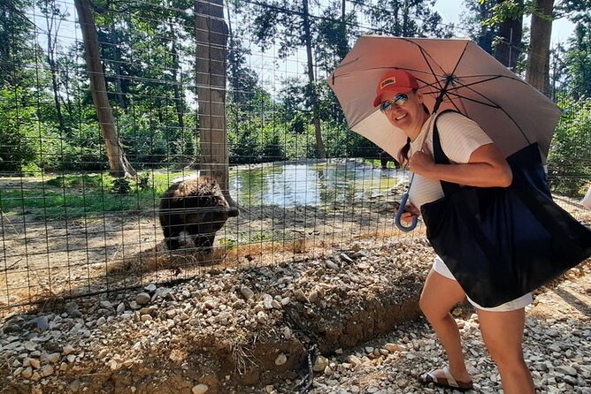 Bears Sanctuary, Dracula Castle and Poiana Brasov-Private day tour from Brasov - Comparing This Tour to Similar Options