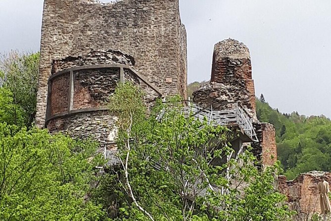 Bears Sanctuary, Dracula's Castle, Brasov Day Trip Private Tour from Bucharest - Timing, Pacing, and Accessibility