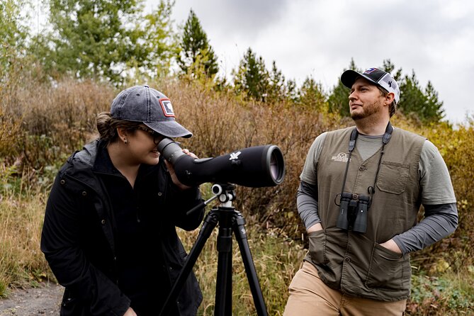 Beartooth Highway Private Tour With Wildlife Guide - Scenic Break at Rock Creek Vista Point