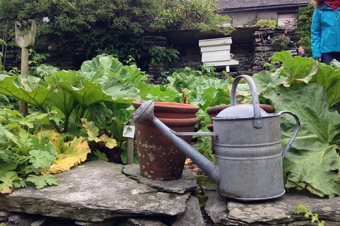 Beatrix Potter's Half Day Lake District Tour Including Lake Cruise - Guide Expertise and Visitor Feedback