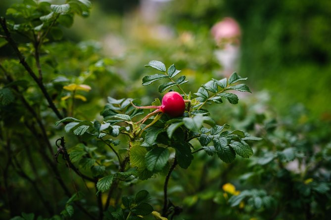 Beatrix Potter's Half Day Lake District Tour Including Lake Cruise - Comparing This Tour to Alternatives