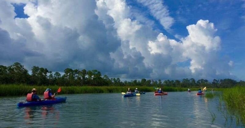 Beaufort: Guided Kayak Tour with Wildlife Viewing - Exploring Beaufort’s Historic Rivers and Salt Marshes
