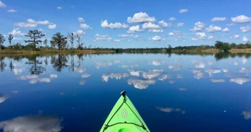 Beaufort: Guided Kayak Tour with Wildlife Viewing - Scenery and Wildlife Encounters