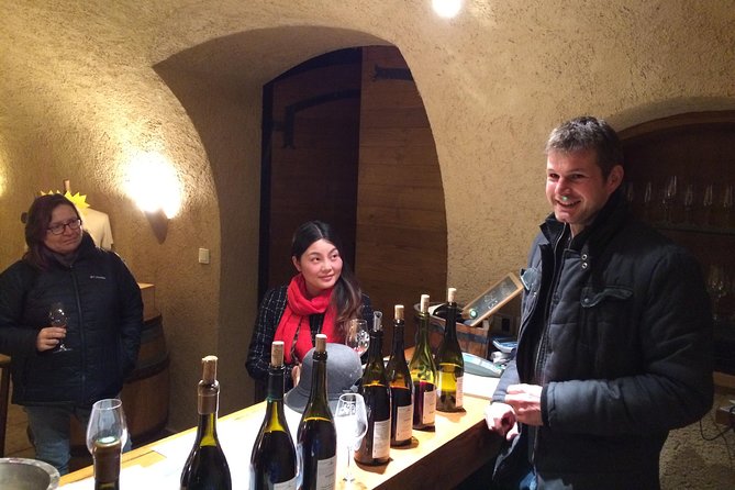 Beaujolais Crus Wines & Castles (2:00 pm - 6:30 pm) - Small Group Tour from Lyon - The Expert Guide and Personalized Experience