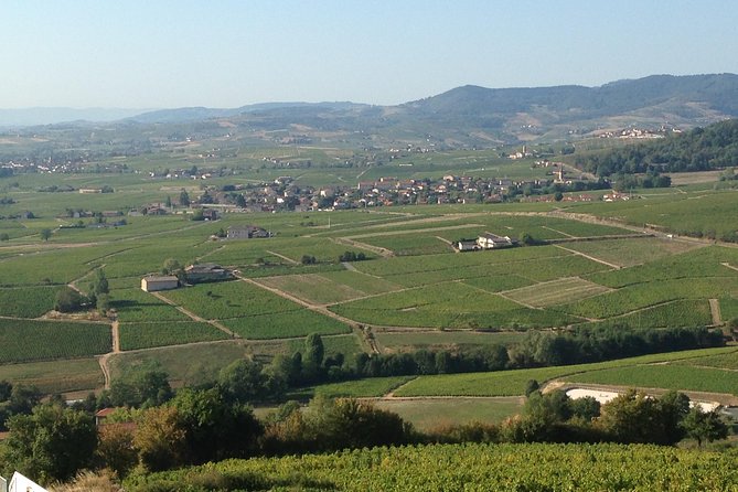 Beaujolais Crus Wines & Castles (2:00 pm - 6:30 pm) - Small Group Tour from Lyon - Practical Details and Value for Money