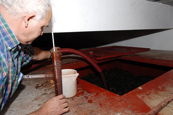 Beaujolais & Perouges Medieval Town (9:00 am to 5:15 pm - Small Group Tour Lyon - Discovering Pérouges Medieval Town