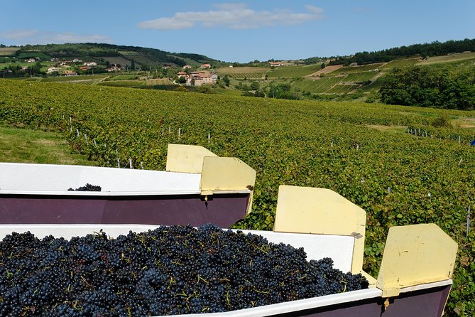 Beaujolais & Perouges Medieval Town (9:00 am to 5:15 pm - Small Group Tour Lyon - Why This Tour Stands Out for Visitors to Lyon