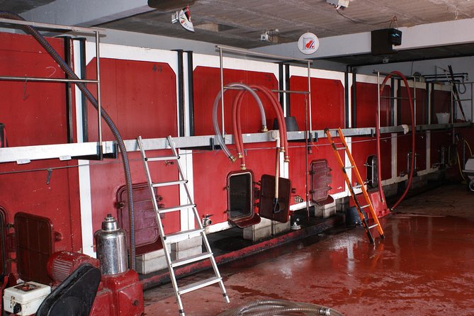 Beaujolais Wine Discovery - Half Day - Small group tour from Lyon - Explore the Beaujolais Pierres Dorées Region from Lyon