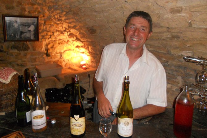 Beaujolais Wine Discovery - Half Day - Small group tour from Lyon - Practicalities and Group Experience