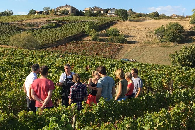 Beaujolais Wine Discovery - Half Day - Small group tour from Lyon - Summary of the Tour’s Value and Experience