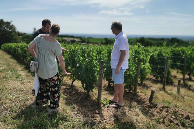 Beaujolais wine tour from Lyon half day - The Guide’s Expertise and Friendly Approach