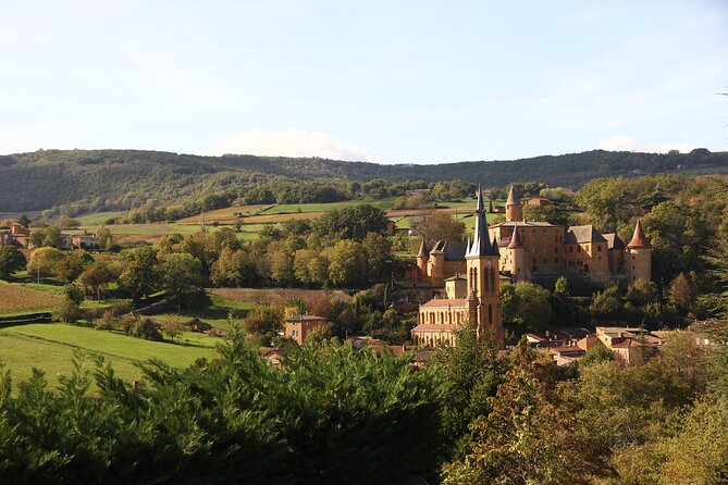 Beaujolais Wine Tour - Tastings & Gourmet Picnic Lunch - Key Points