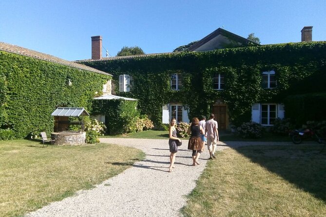 Beaujolais Wine Tour - Tastings & Gourmet Picnic Lunch - Scenic Return to Lyon