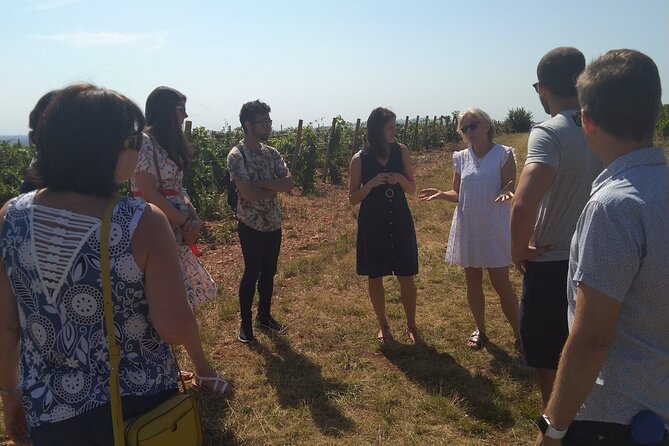 Beaujolais Wine Tour - Tastings & Gourmet Picnic Lunch - Practical Details and Booking