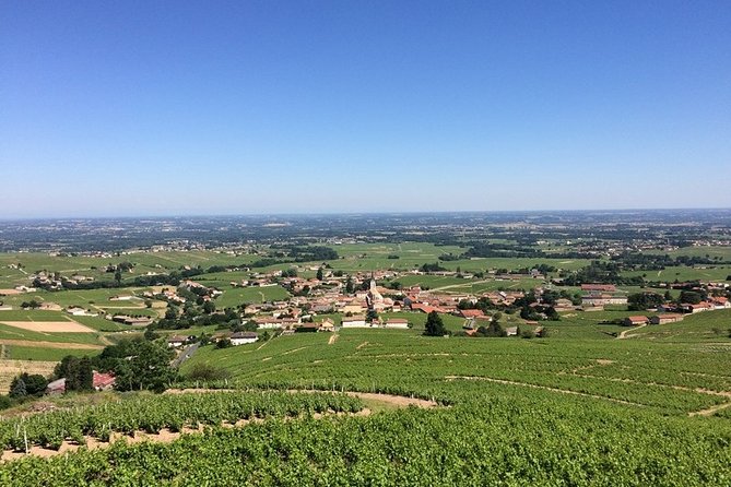 Beaujolais Wines & Castles - Private Tour - Half Day - Key Points