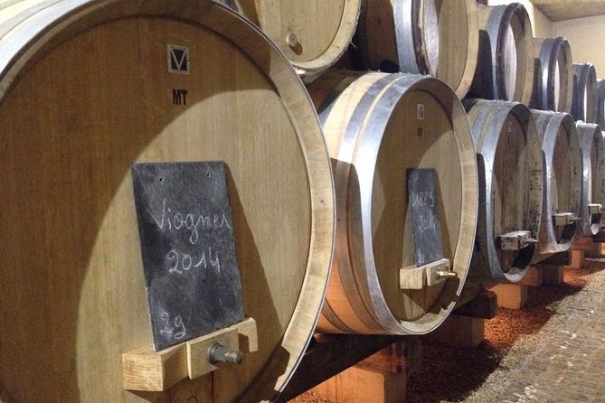 Beaujolais Wines & Castles - Private Tour - Half Day - Château Wine Estate in Chénas: Barrel Cellar and Tasting