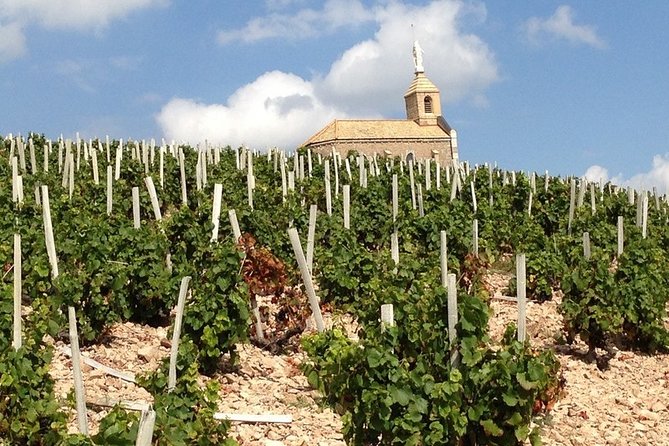 Beaujolais Wines & Castles - Private Tour - Half Day - All-Inclusive Tastings and the Private Experience
