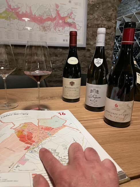 Beaune: Burgundy Wine Tasting at Solstice - Who Will Most Appreciate This Tour?