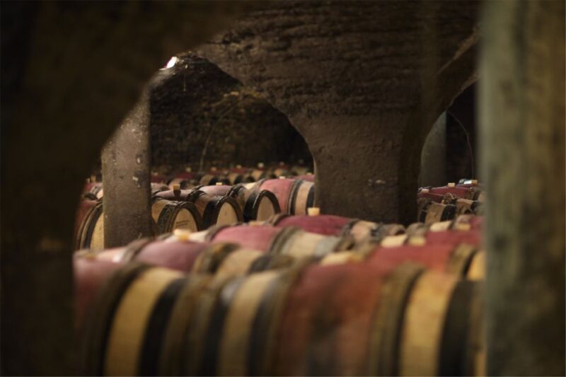 Beaune: Maison Champy Guided Cellar Tour with Wine Tasting - Wine Tasting of Five Burgundy Classics