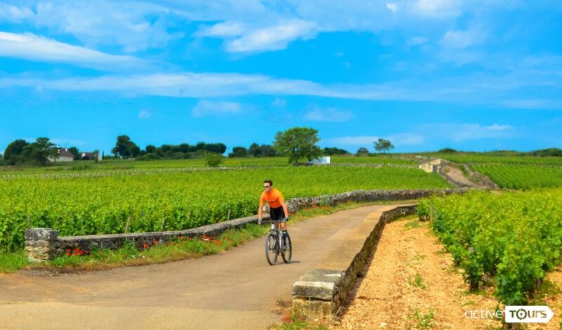 Beaune: Winery Tour by Bike with Wine Tasting - Starting Point in Beaune’s Allée du Dr Bouley