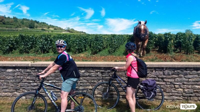 Beaune: Winery Tour by Bike with Wine Tasting - Sampling Burgundy Wines in the Vineyard