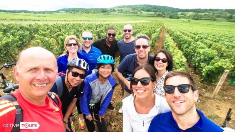 Beaune: Winery Tour by Bike with Wine Tasting - Wine Tasting and Purchasing Options
