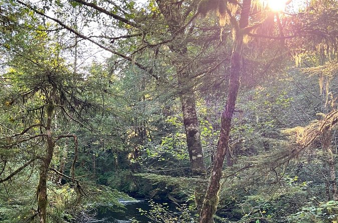 Beautiful Nature Walk On Ketchikan's Ward Creek Trail - What’s Included in the Experience