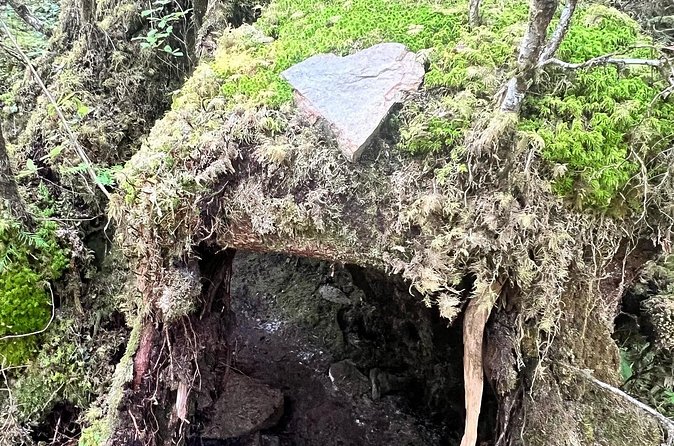 Beautiful Nature Walk On Ketchikan's Ward Creek Trail - The Experience and Pacing of the Hike