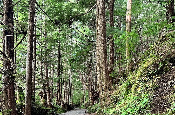 Beautiful Nature Walk On Ketchikan's Ward Creek Trail - How This Tour Compares to Other Ketchikan Activities