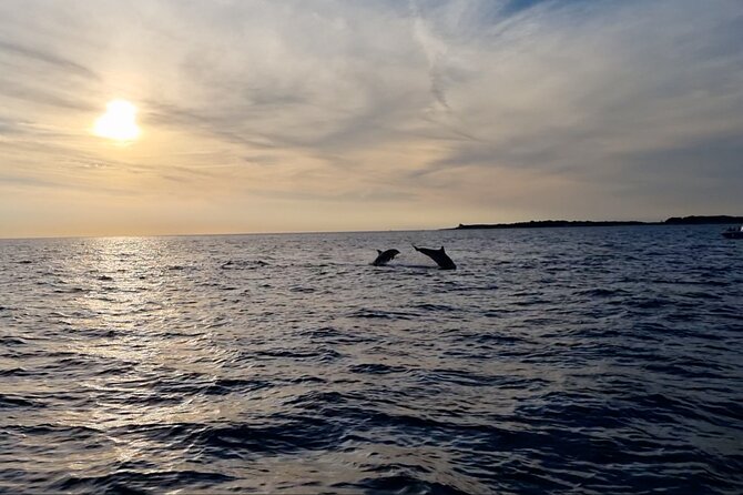 Beautiful Sunset and Dolphin Watching - Who Will Enjoy This Tour the Most