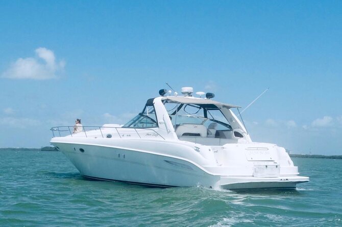 Beautiful Yacht SeaRay 48ft / 15PAX 25P16 - Snorkeling and Swimming: Water Activities on Your Terms