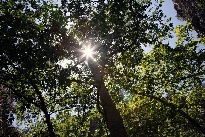 Beauty, Nature and Charm of Troodos Mountains from Paphos - Tasting the Legendary Wines of Lambouri Winery