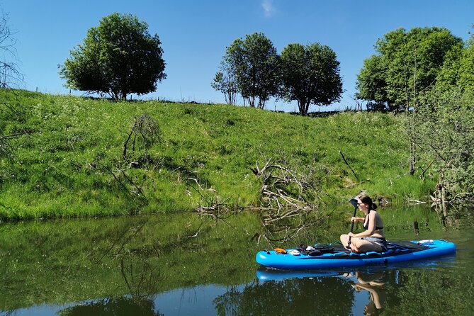 Beaver Safari on Stand up paddleboard in Hokksund - Why This Tour Stands Out Among Wildlife Experiences